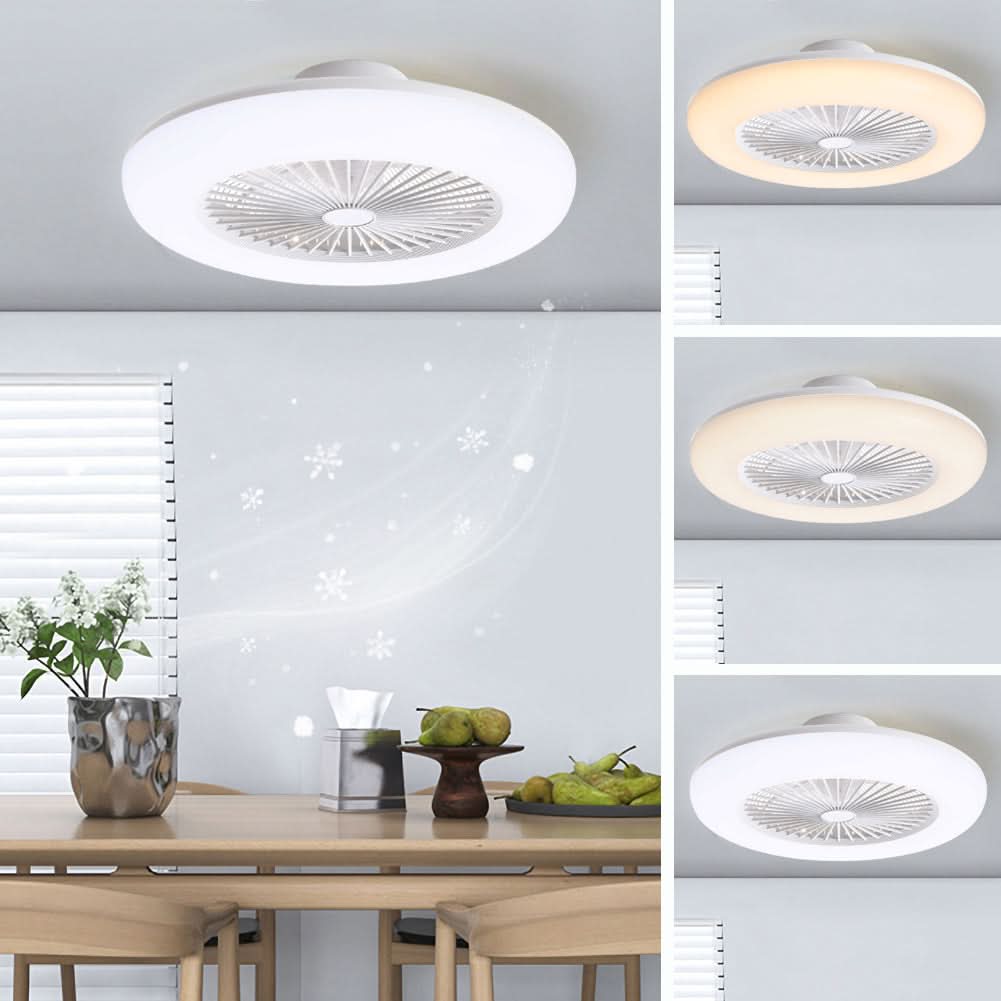 Dia 55cmCeiling Fan with 3 Colour LED Light and Remote Control