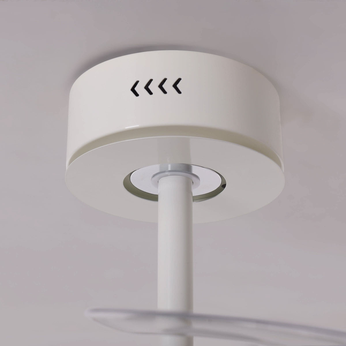 Lightsin 48 Inch Ceiling Fan with Reversible Airflow and Timer