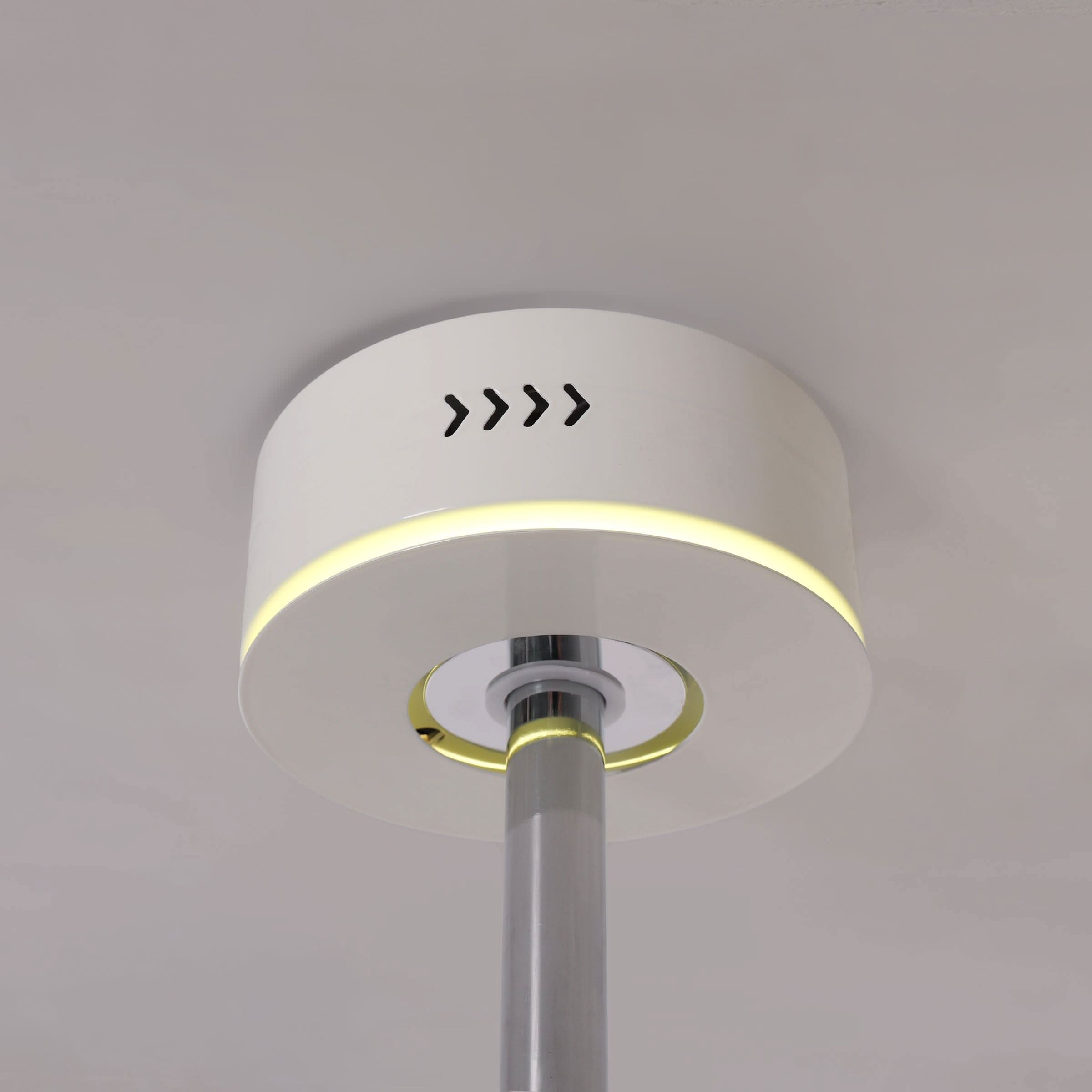 Lightsin 48 Inch Ceiling Fan with Quiet Reversible DC Motor