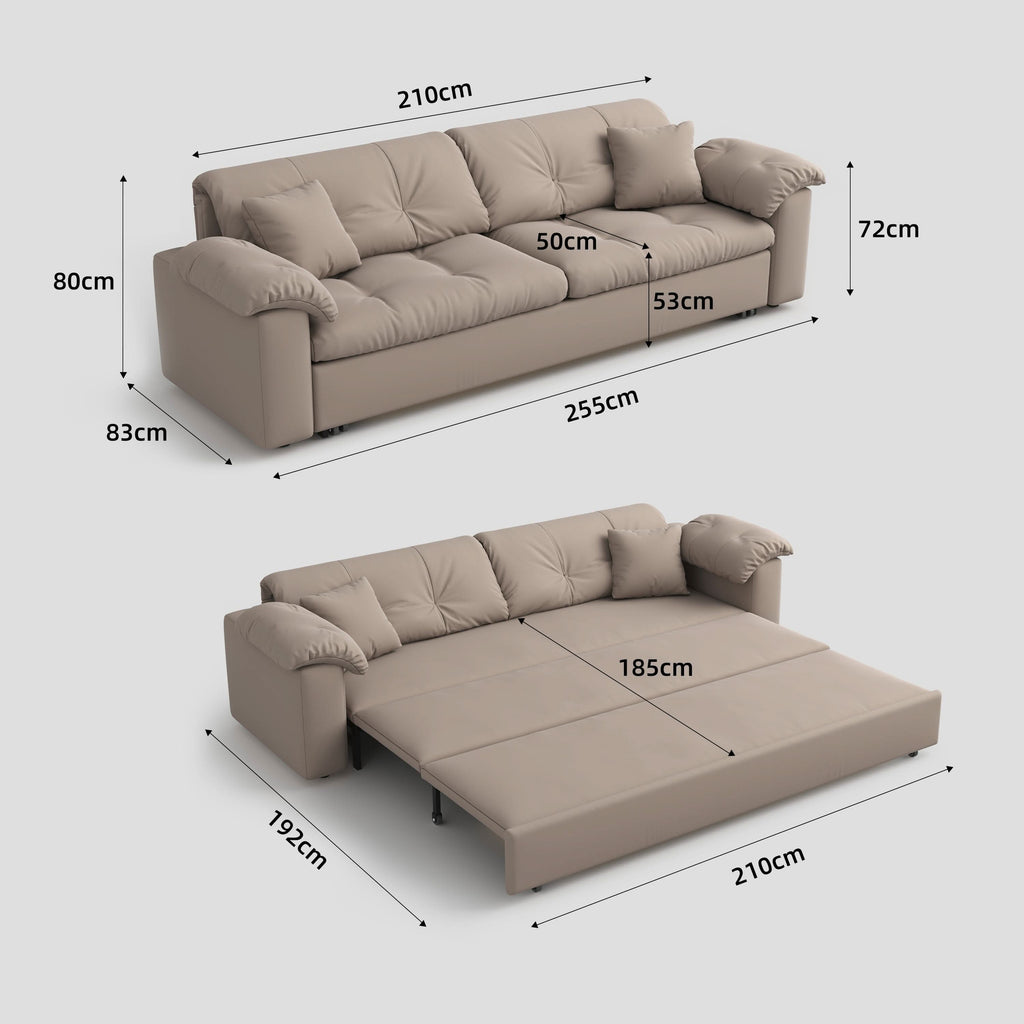 Cottonfy Multifunctional Sleeper Pull Out 2 Seater Sofa Bed with Storage Space