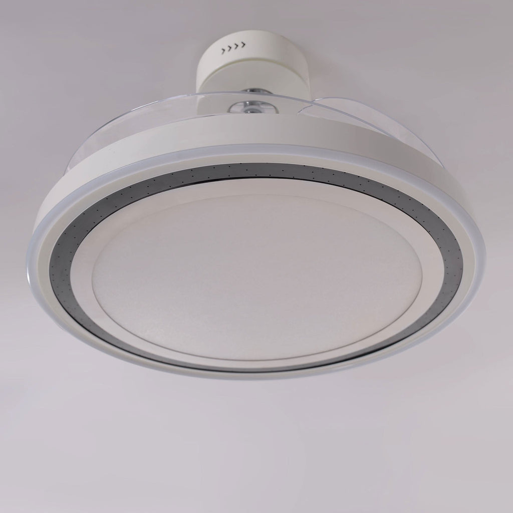 Lightsin 48 Inch Ceiling Fan with Quiet Reversible DC Motor