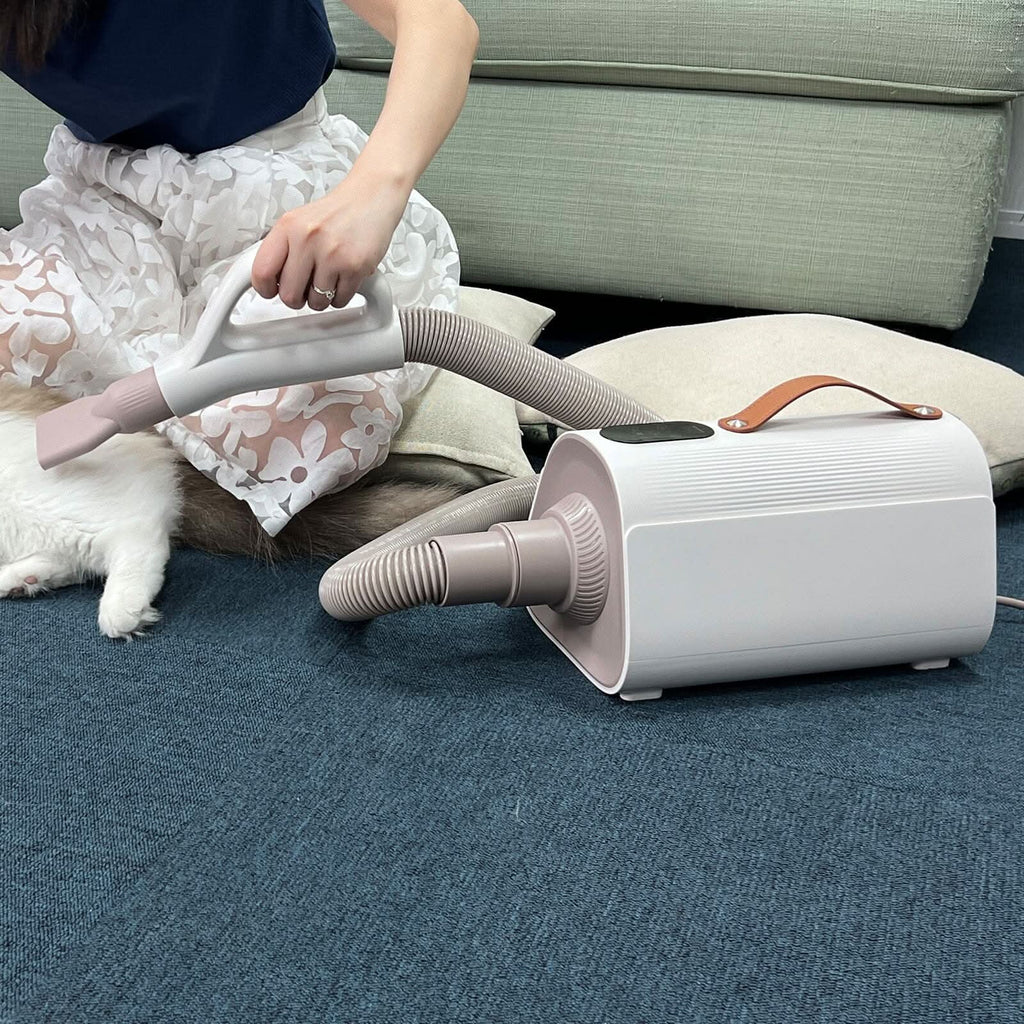 1700W Power 4 IN 1 Pet Grooming Dryer Handheld Blaster