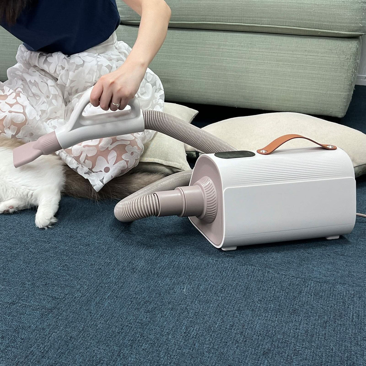 1700W Power 4 IN 1 Pet Grooming Dryer Handheld Blaster