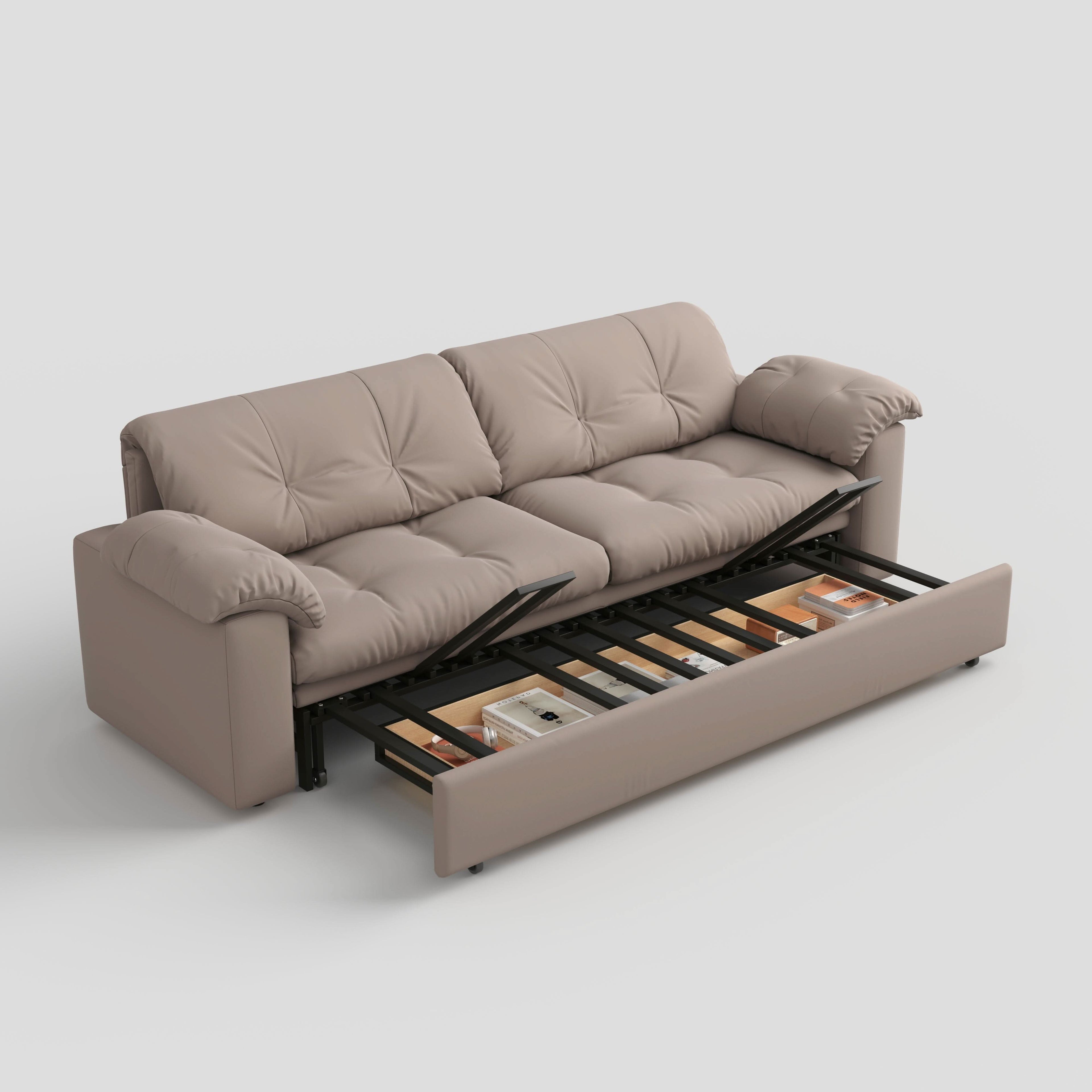 Cottonfy Multifunctional Sleeper Pull Out 2 Seater Sofa Bed with Storage Space