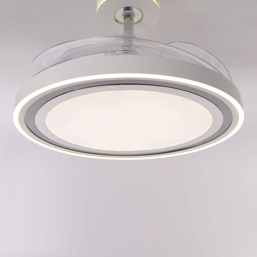 Lightsin 48 Inch Ceiling Fan with Quiet Reversible DC Motor