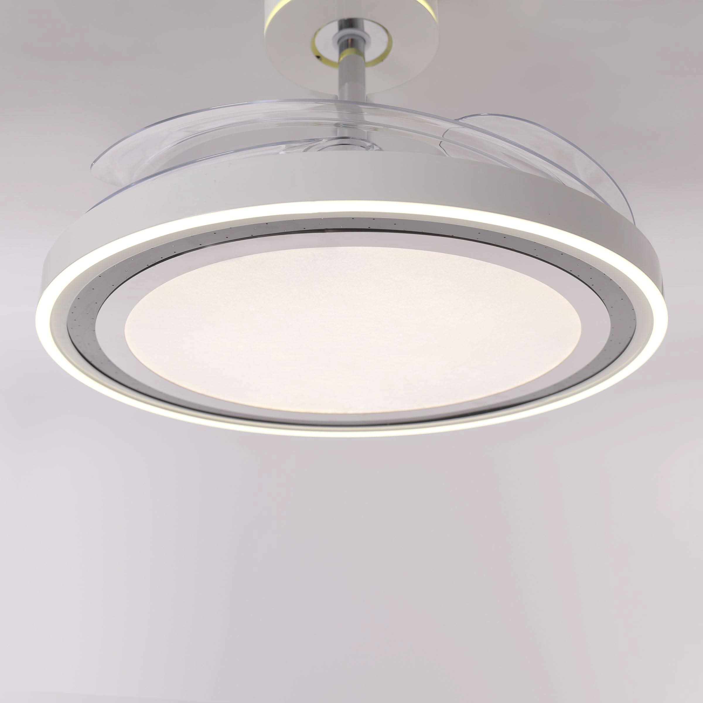 Lightsin 48 Inch Ceiling Fan with Quiet Reversible DC Motor