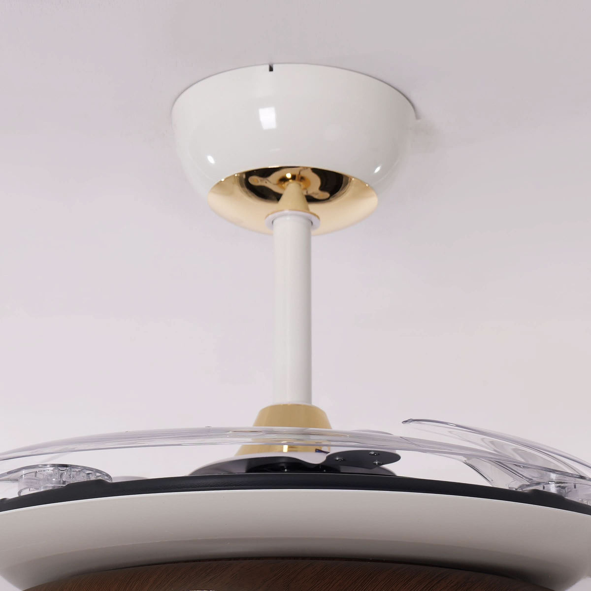 Lightsin 42 Inch Ceiling Fan with Dimmable LED and Reverse Airflow