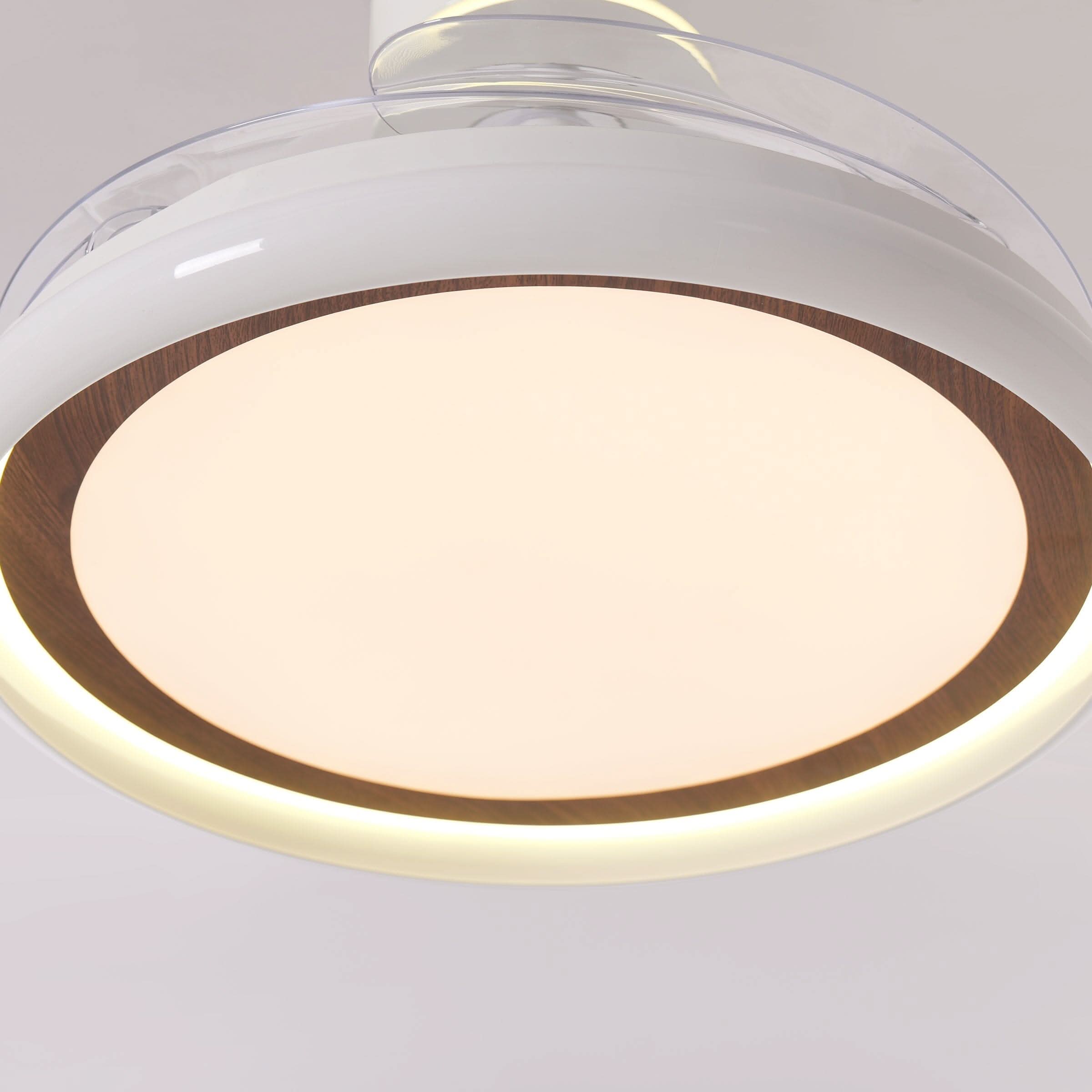 Lightsin 48 Inch Ceiling Fan with Reversible Airflow and Timer