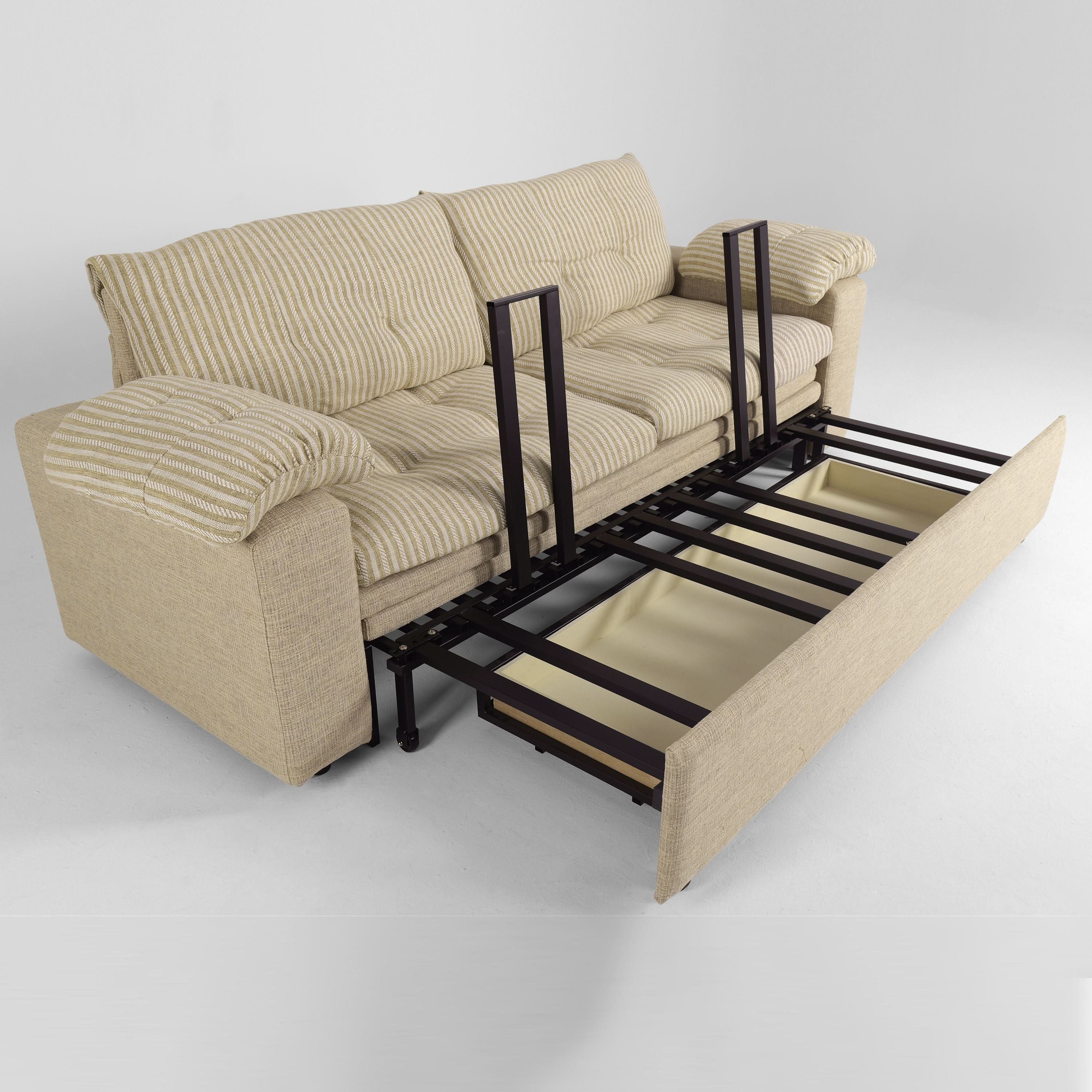 Cottonfy Multifunctional Sleeper Pull Out 2 Seater Sofa Bed with Storage Space