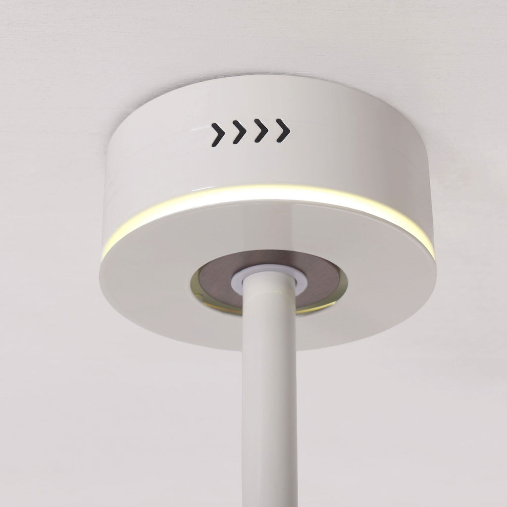 Lightsin 48 Inch Ceiling Fan with Reversible Airflow and Timer