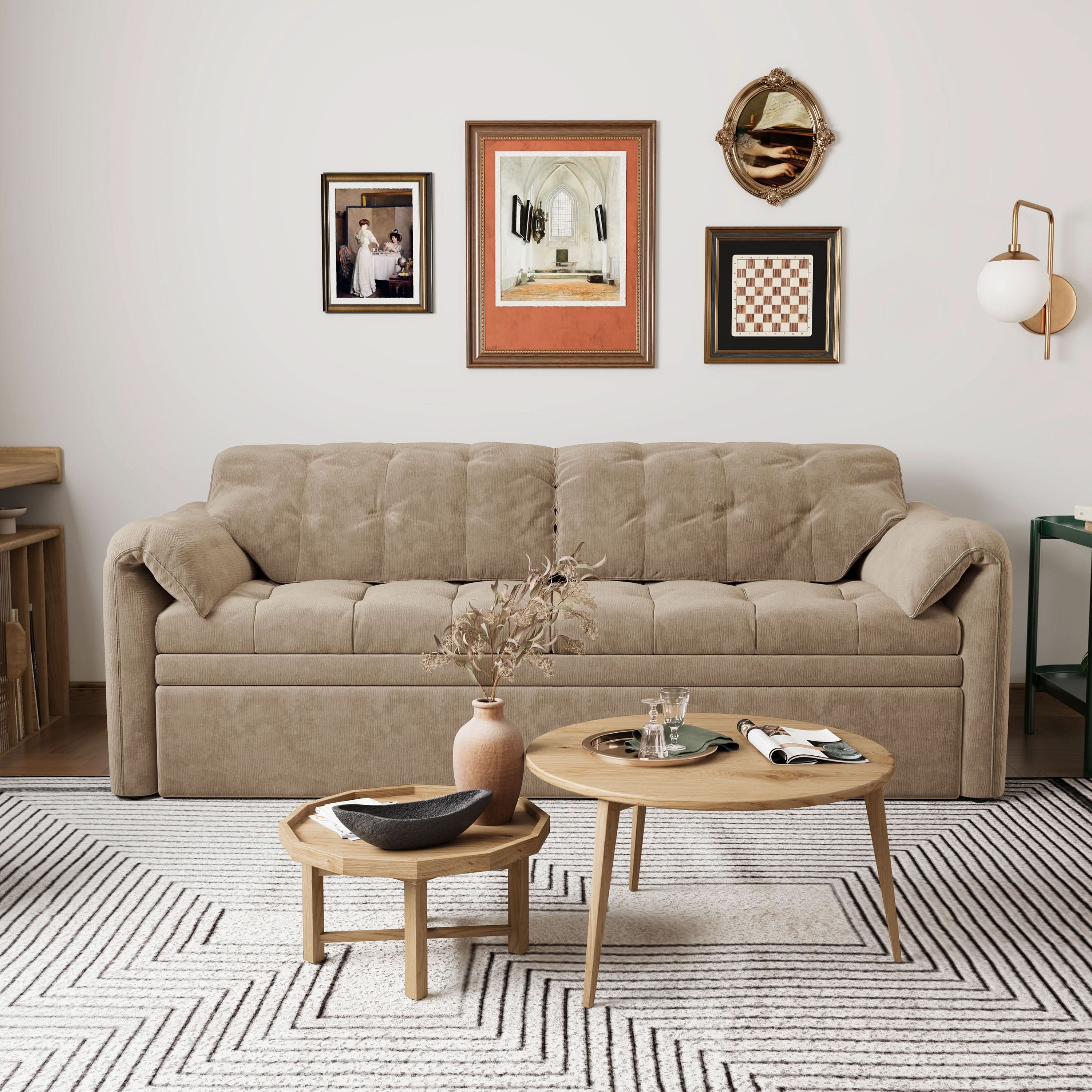 Cottonfy Upgraded Cloud Chenille Skin Friendly Sofa Bed with Storage