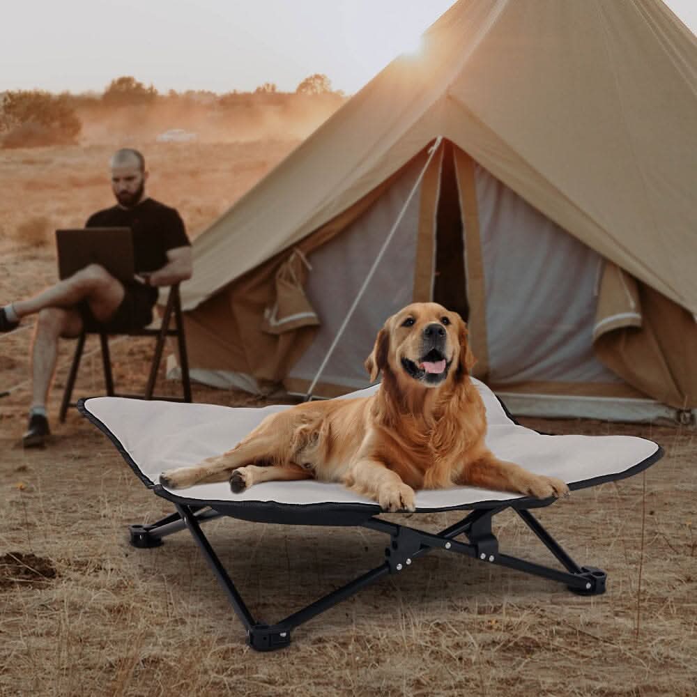 Portable Raised Pet Cot