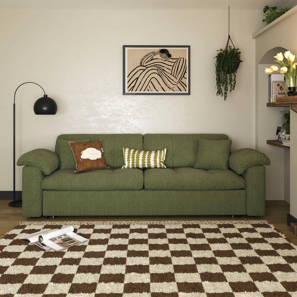 Cottonfy Multifunctional Sleeper Pull Out 2 Seater Sofa Bed with Storage Space