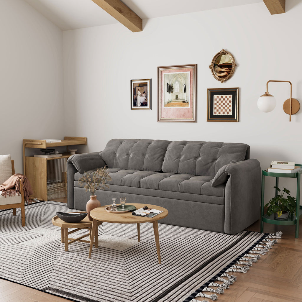 Cottonfy Upgraded Cloud Chenille Skin Friendly Sofa Bed with Storage