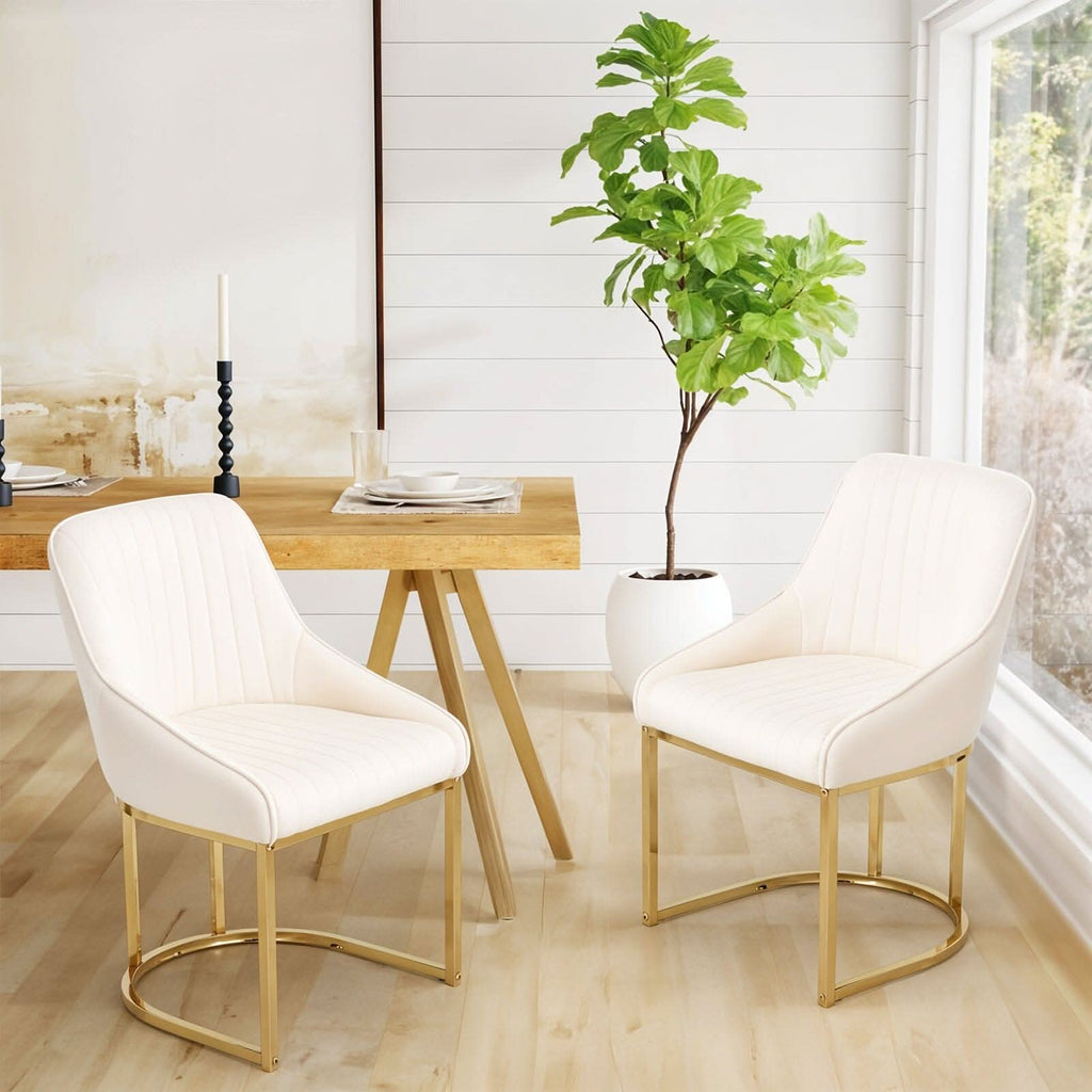 Velvet Dining Chair Gold Leg Pair Seating
