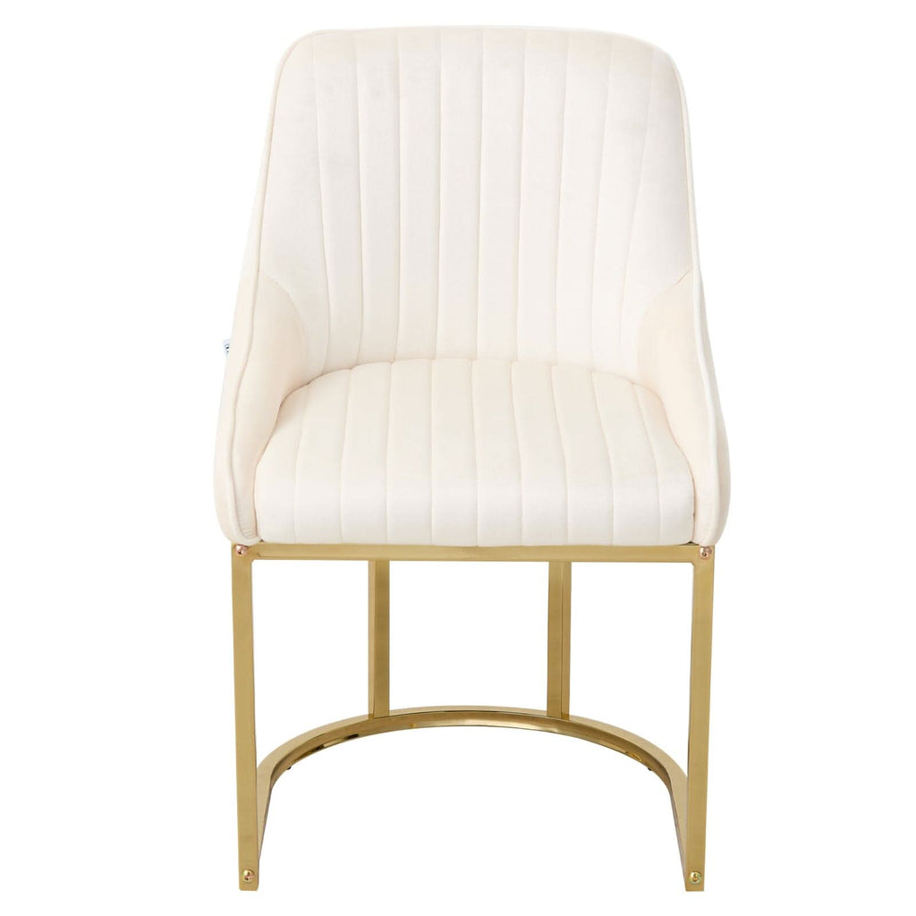 Velvet Dining Chair Gold Leg Pair Seating