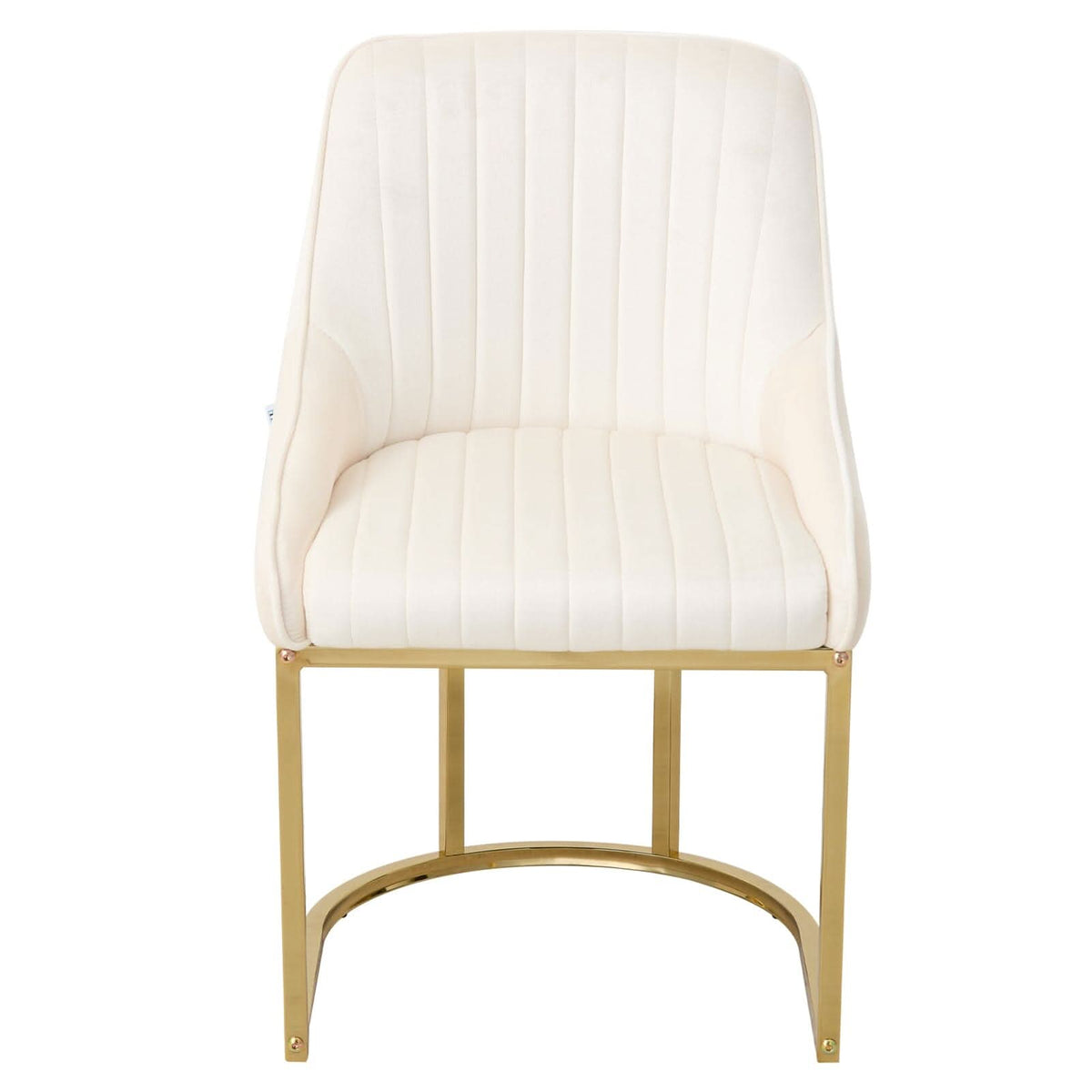 Velvet Dining Chair Gold Leg Pair Seating