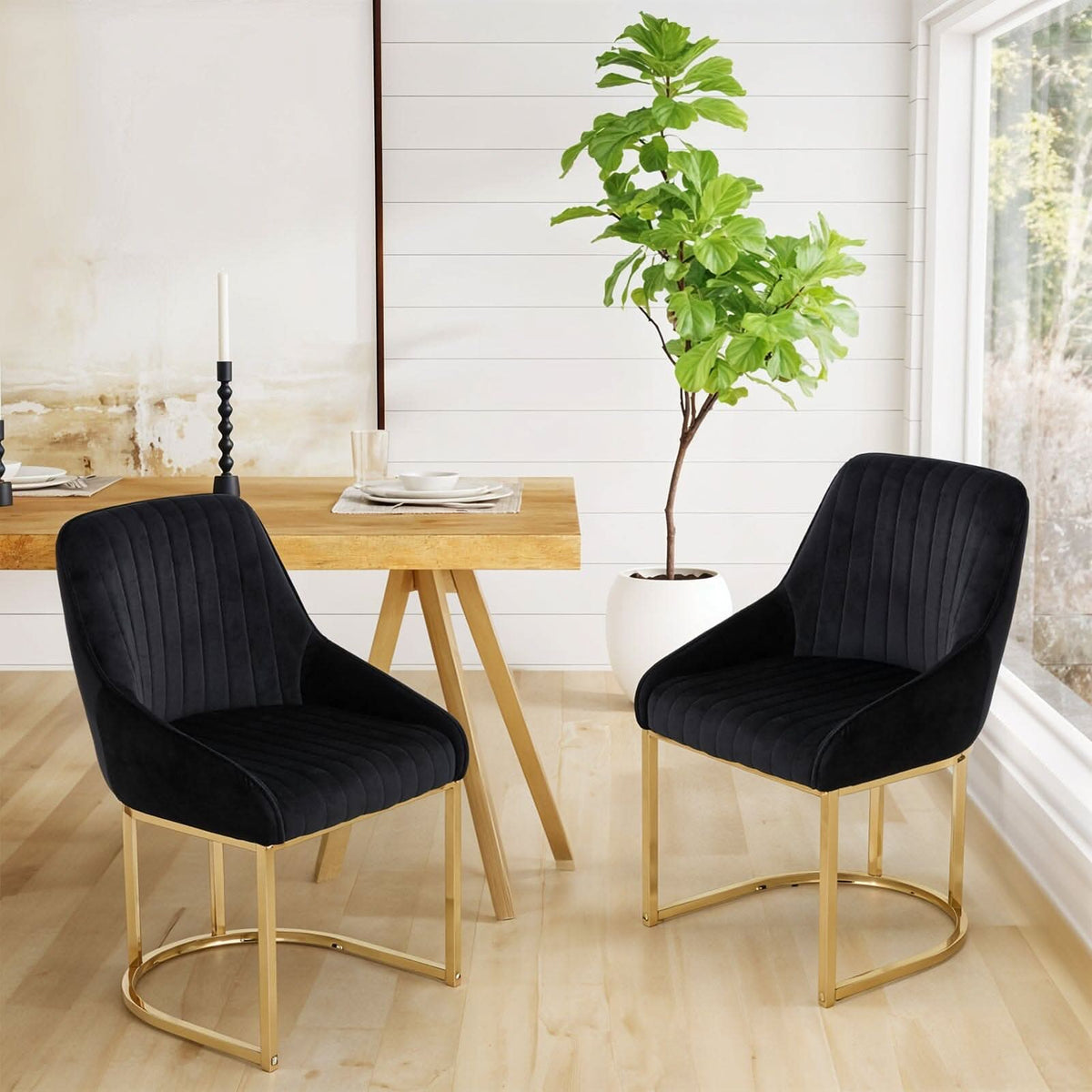 Velvet Dining Chair Gold Leg Pair Seating