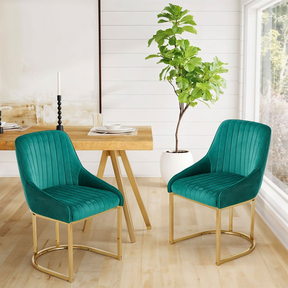 Velvet Dining Chair Gold Leg Pair Seating
