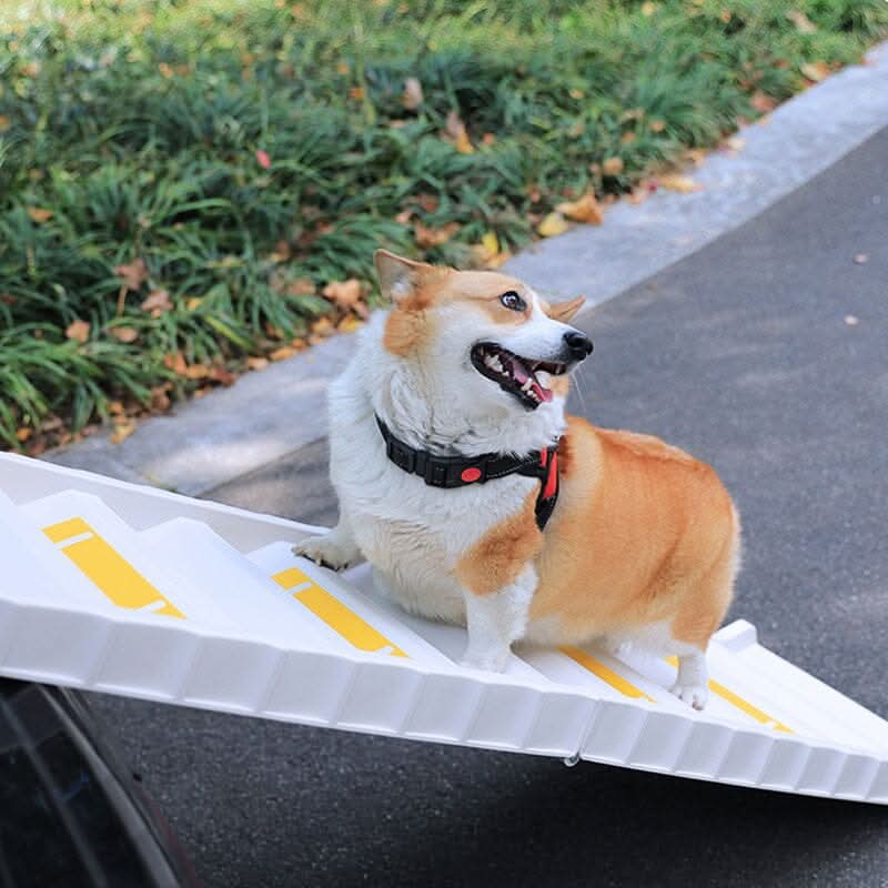 Folding Portable Dog Pet Stairs Ramp White