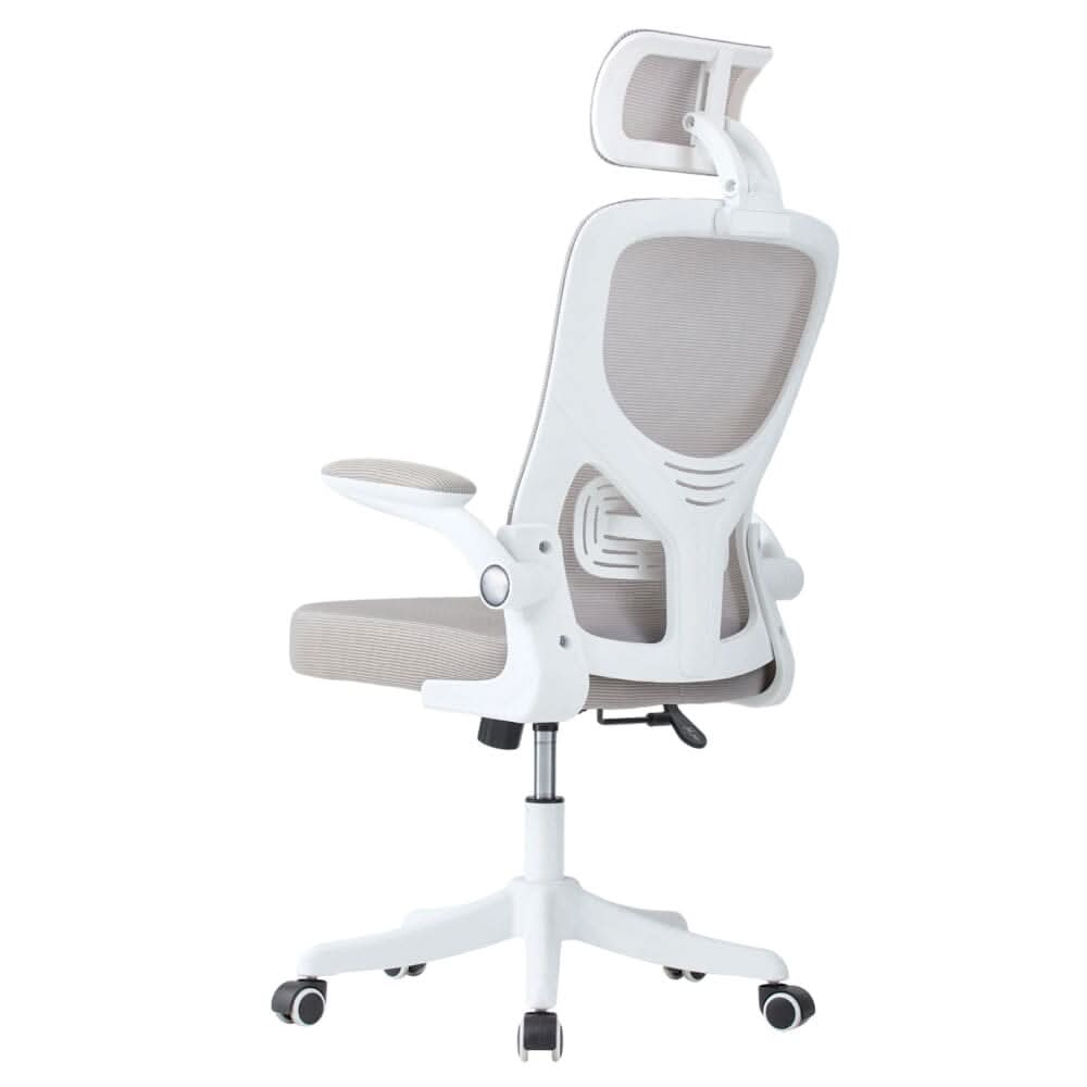 Professional Mesh Office Chair Collection Standard Regular Premium Models