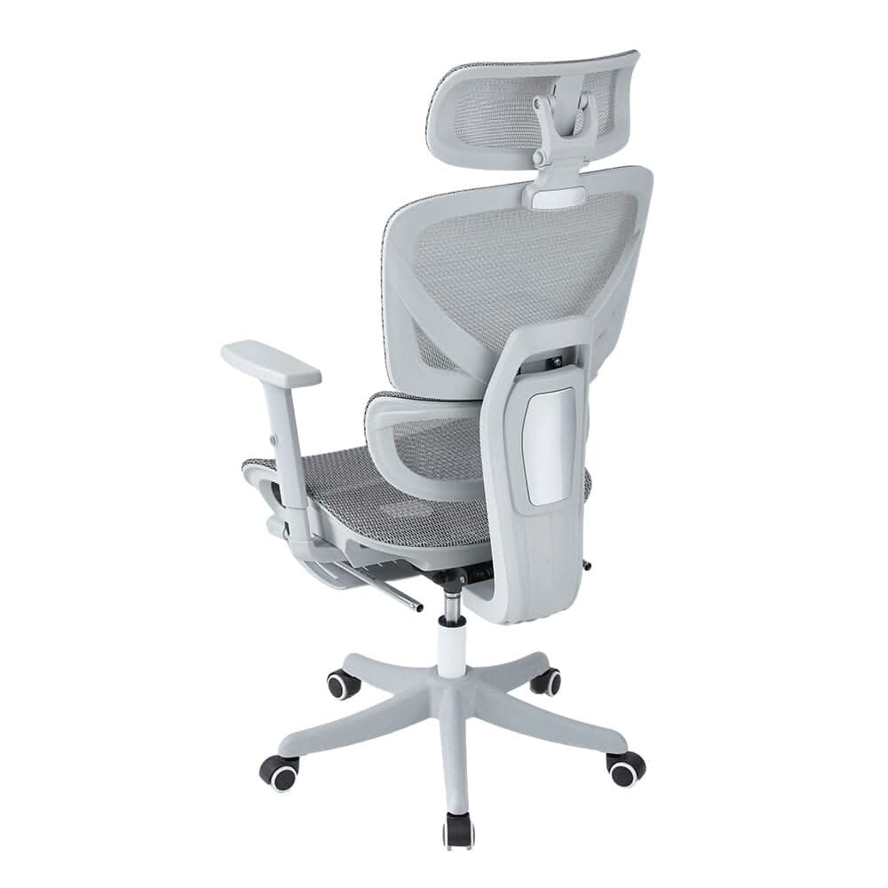 Professional Mesh Office Chair Collection Standard Regular Premium Models