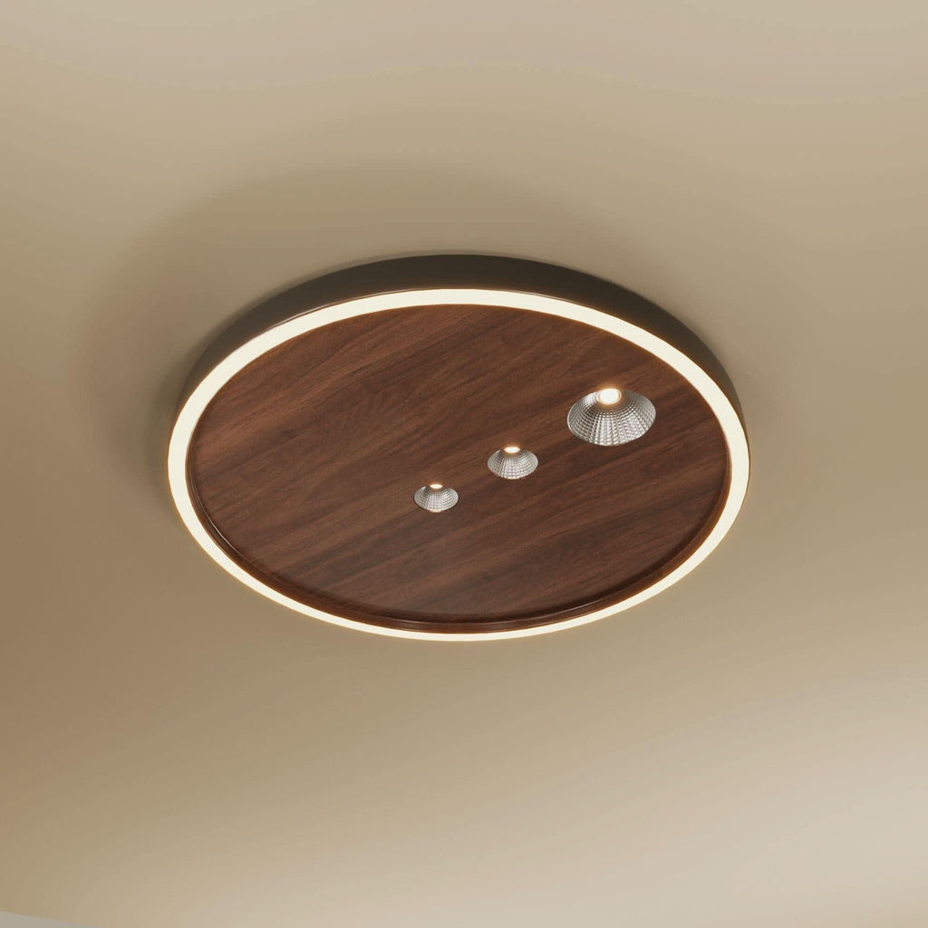 Modern 40cm Dimmable LED Ceiling Light