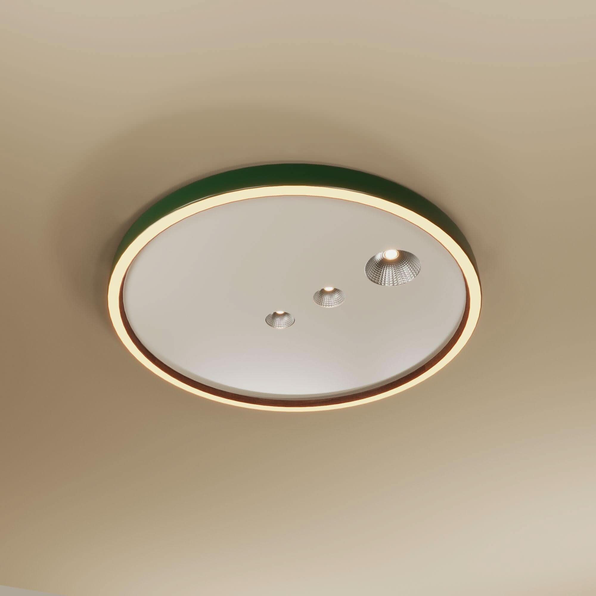 Modern 40cm Dimmable LED Ceiling Light