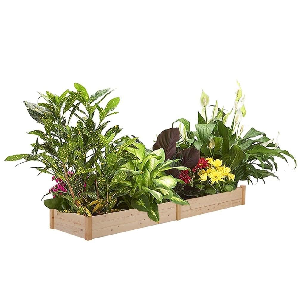 Solid Wood Raised Garden Bed with 2 Compartments