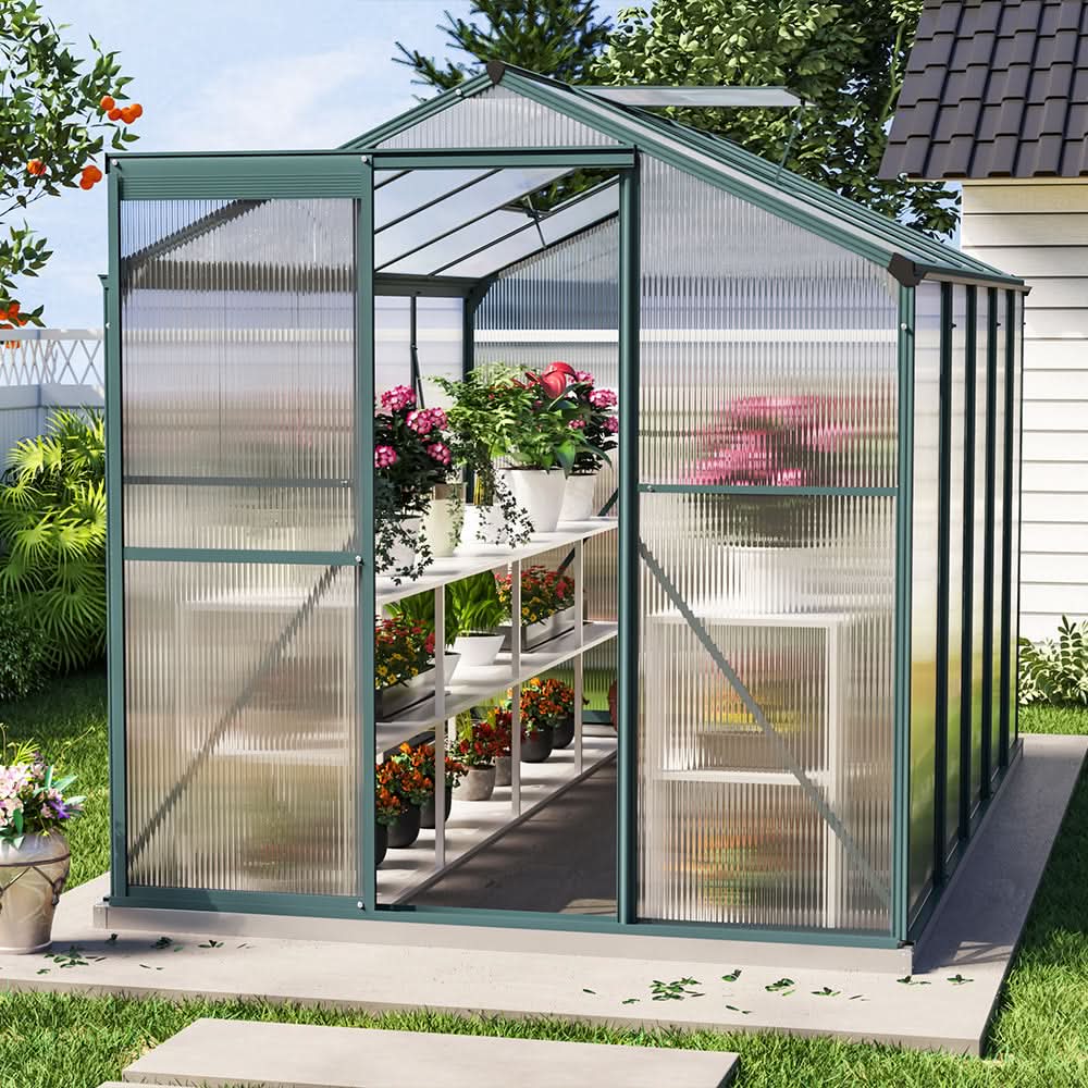 4×6 ft/ 6×6 ft/ 8×6 ft/10' x 6' ft Garden Greenhouse Green Framed with 2 Vents Rain Gutter Setting
