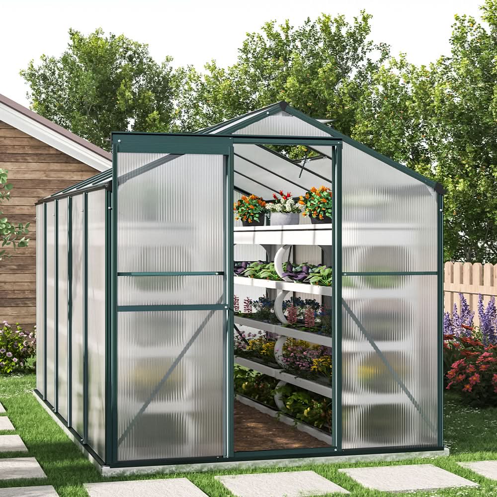 4×6 ft/ 6×6 ft/ 8×6 ft/10' x 6' ft Garden Greenhouse Green Framed with 2 Vents Rain Gutter Setting