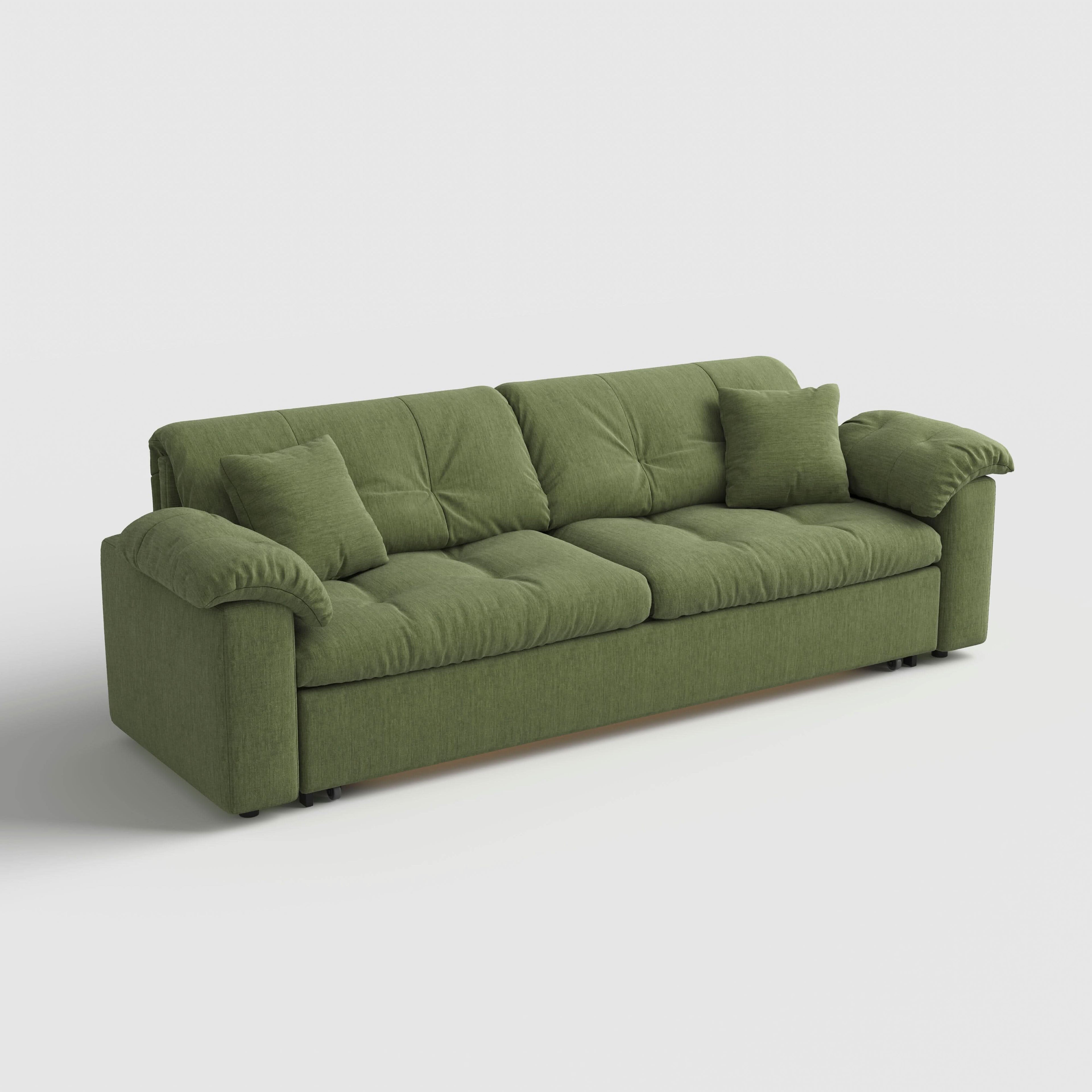 Cottonfy Multifunctional Sleeper Pull Out 2 Seater Sofa Bed with Storage Space