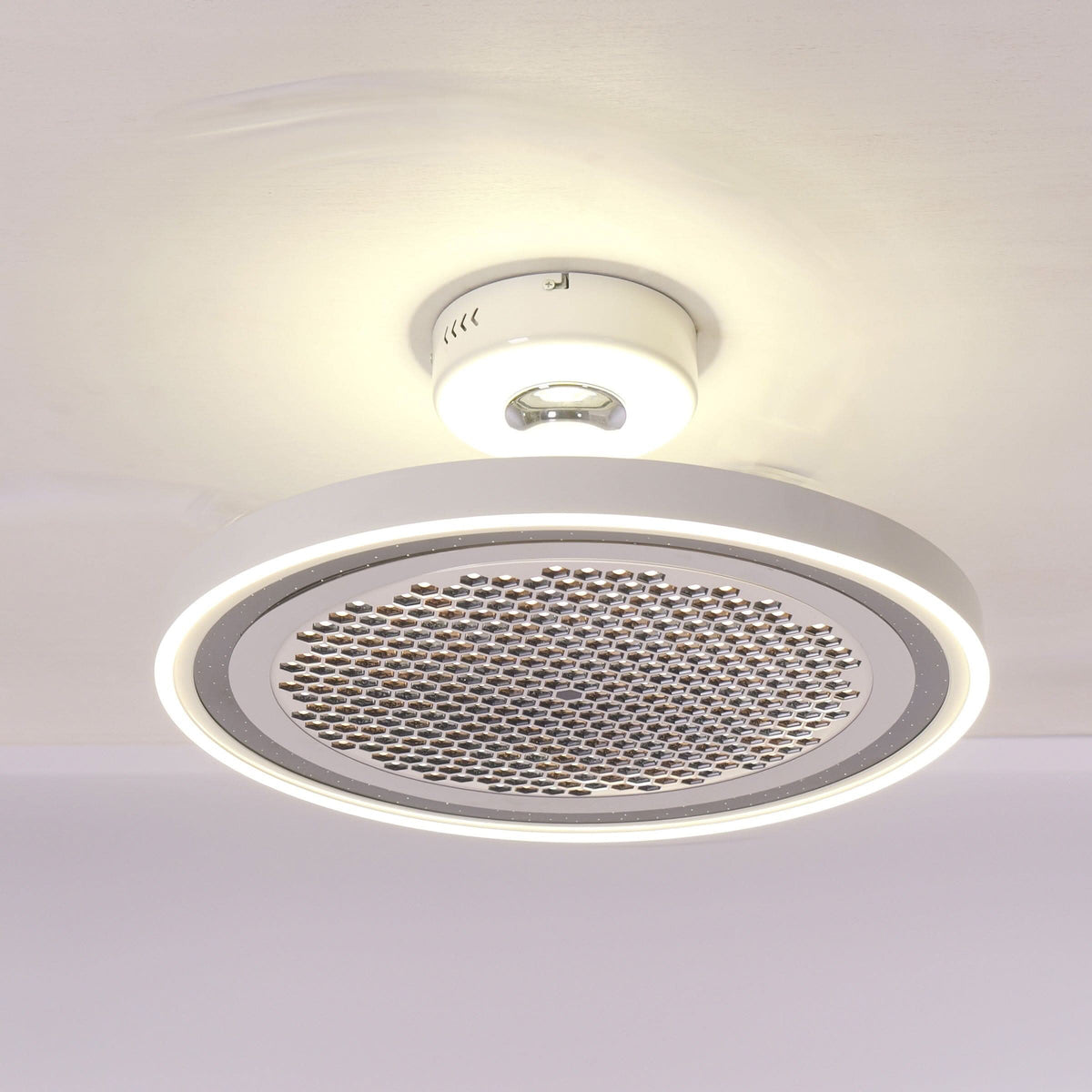 Lightsin 48 Inch Ceiling Fan with Timer and Reversible Motor