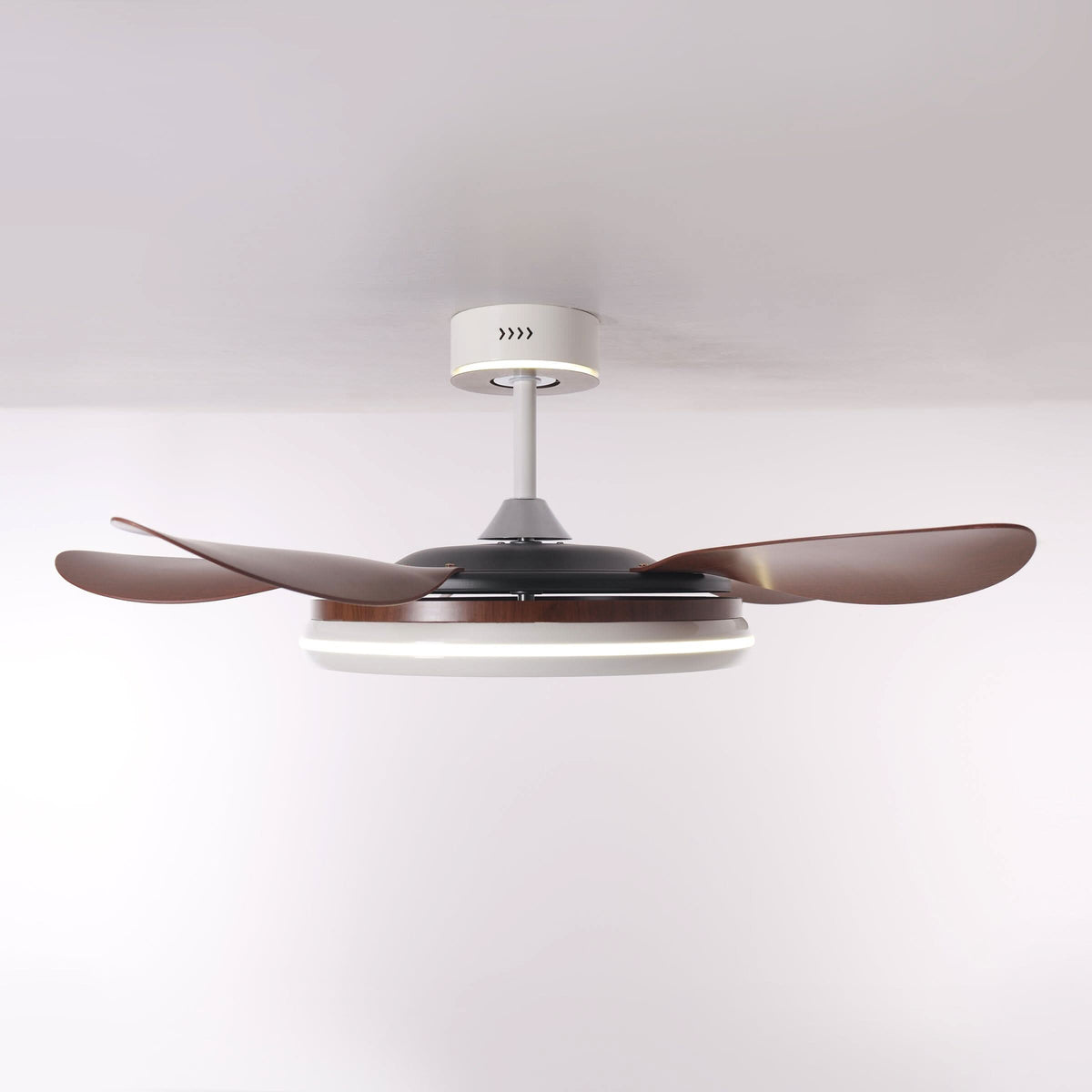 Lightsin 48 Inch Ceiling Fan with Bright LED and Timer Remote