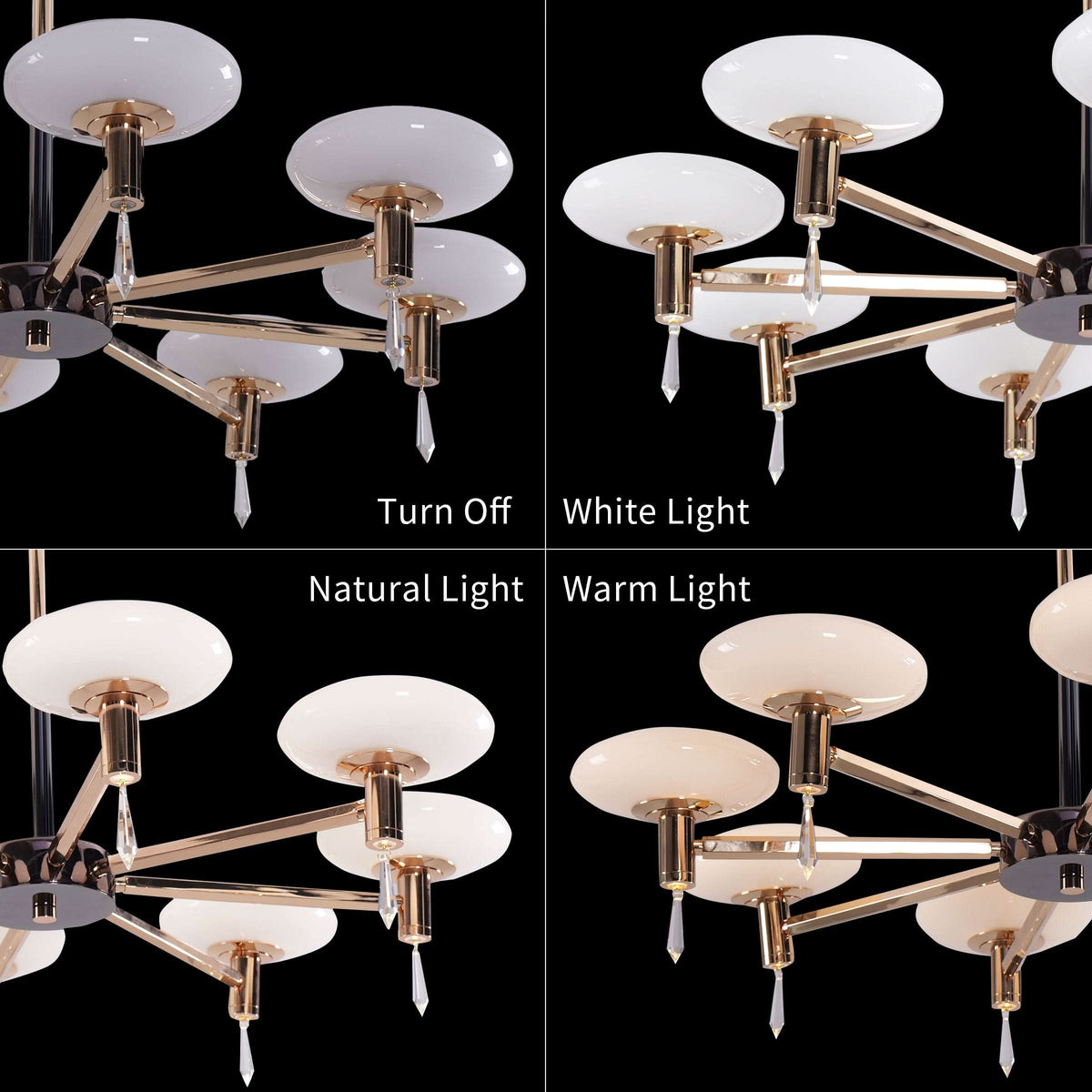 Lightsin Modern Gold LED Chandelier with Glass Shades